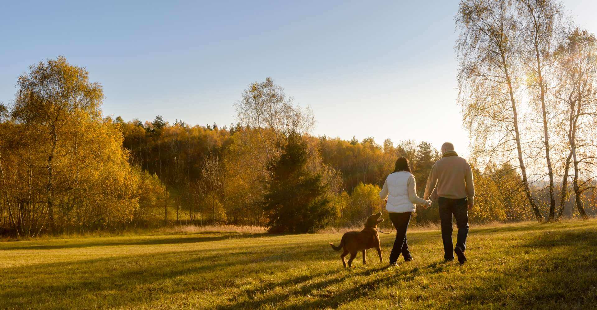 Elder couple walking their dog in the field